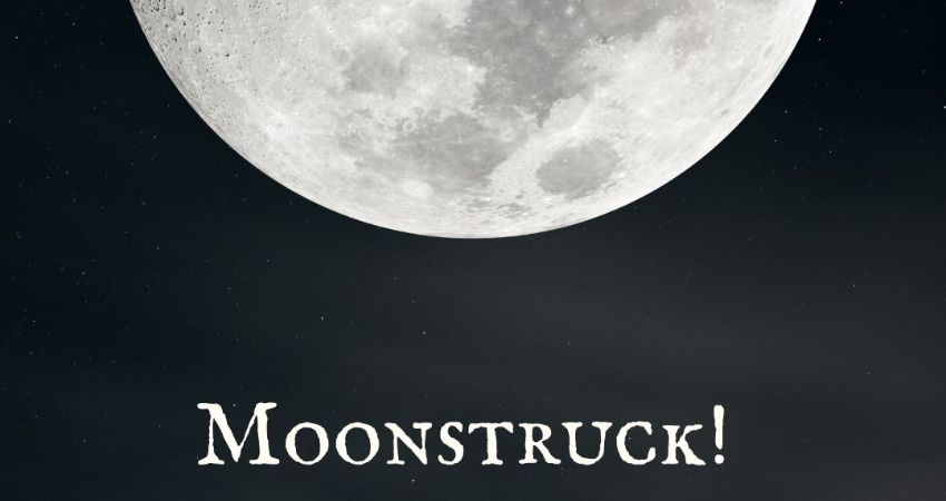 Moonstruck! Creative writing with Lynne Stretch
Saturday 22 February
Cosham Library, 10.15am–11.45am
Southsea Library, 1.30pm–3pm